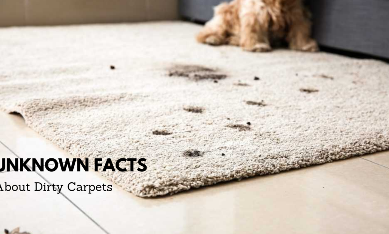 Carpet Cleaning Scarborough