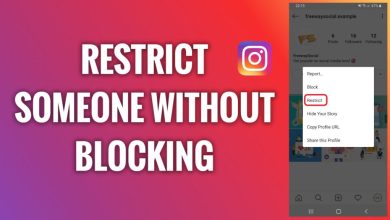 Photo of Instagram Block vs Restrict security and privacy options.