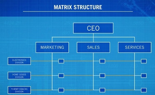 matrix organization