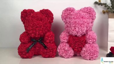 Photo of Let’s Find Out The Best Christmas Gift Rose Bear For Husband