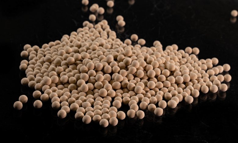 carbon molecular sieves