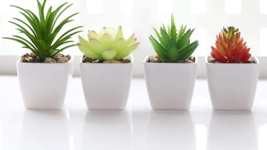 Photo of How You Can Utilize Artificial Plants For Home Decoration