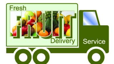 Photo of Start A Fruit Vegetable Delivery Business  With Easy Steps