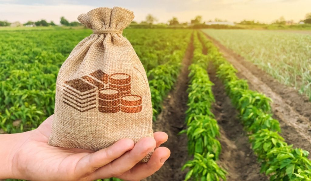 Types of Profitable Farming in India with Guidance