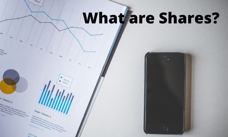 What are Shares?