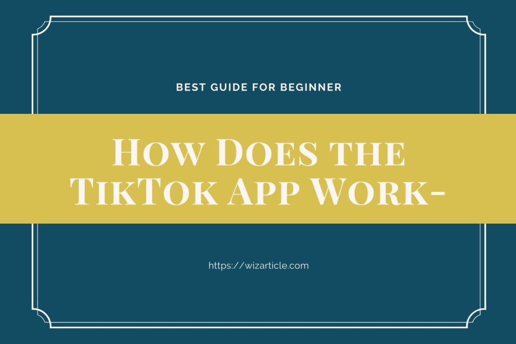 How Does the TikTok App Work-