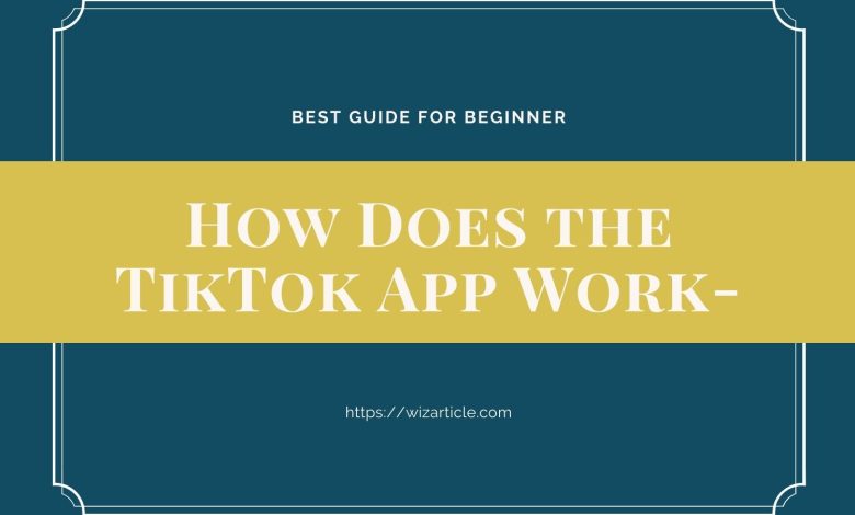 How Does the TikTok App Work-