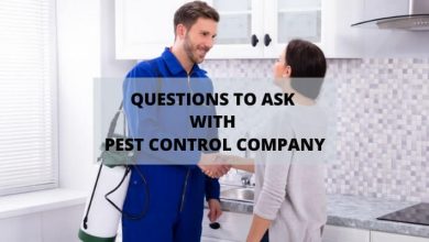 Photo of 7 Questions to ask your Pest Control Company in British Columbia