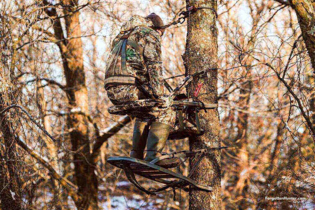 best tree stand for your hunting conditions