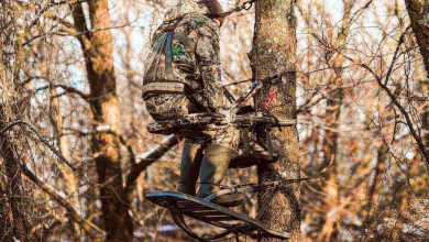 Photo of 6 Things to Know When You Start Hunting