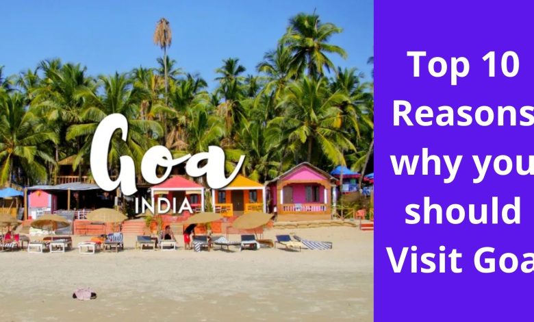 Top 10 Reasons why you should Visit Goa