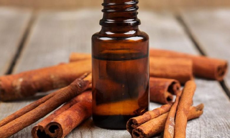 Use cinnamon oil for dandruff problem, know its 6 benefits for hair