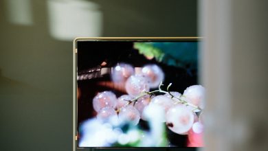 Photo of Is Mini LED better than OLED? – Mini LED vs. OLED