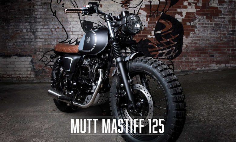 mutt bikes from Wheels Motorcycles