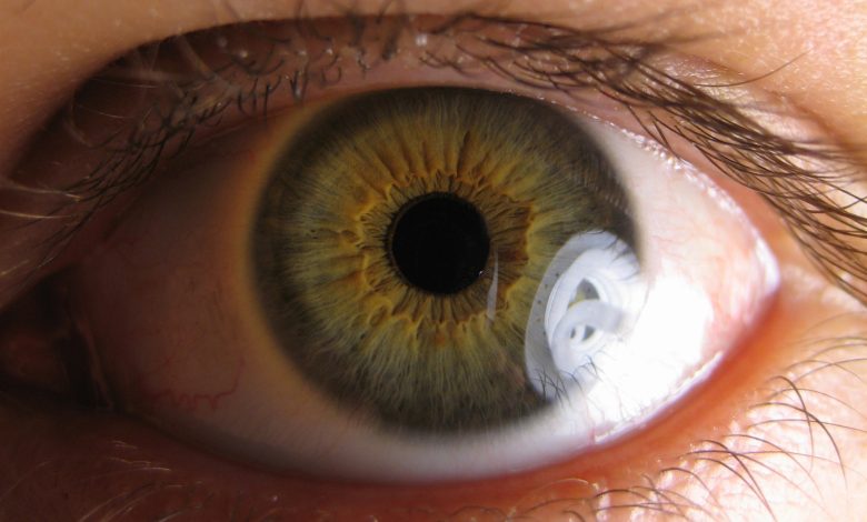 pupillary light reflex