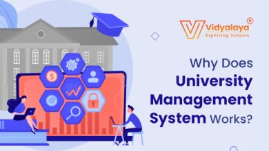 Photo of Why Does University Management System Works?