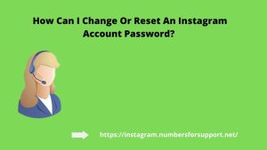 Instagram Support