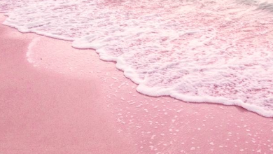 Photo of 14 Best Pink Sand Beaches In The World