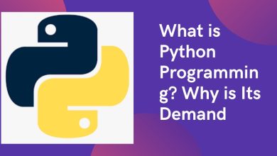 Photo of What is Python Programming? Why is Its Demand