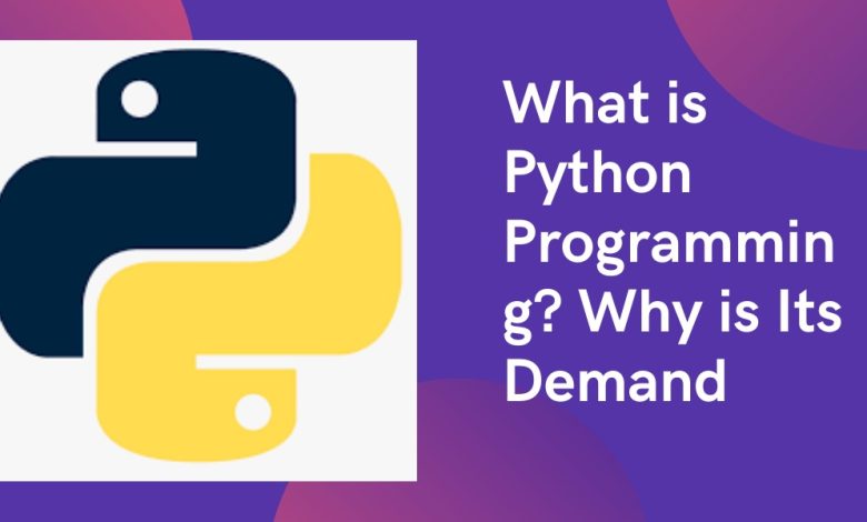 Python Programming