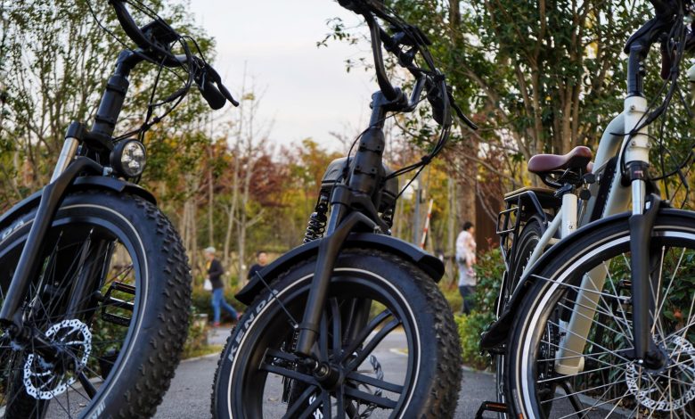 Electric Bike Buyers Guide