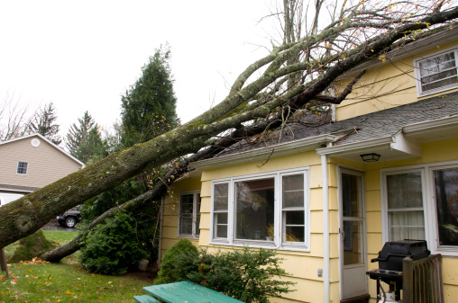 property damage restoration