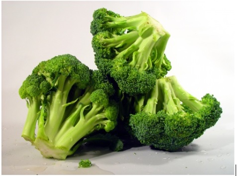 Broccoli Cultivation Guide: Learn How to Growing Broccoli