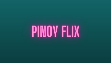 Photo of Review On The Services Of Pinoyflix Tambayan For Users