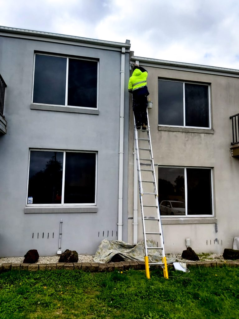 Roof Painting