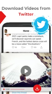 download twitter videos