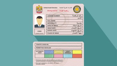 Photo of How To Get Your Driving License Translation in Dubai
