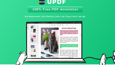 Photo of Why is UPDF the Best PDF Editor You Can Find