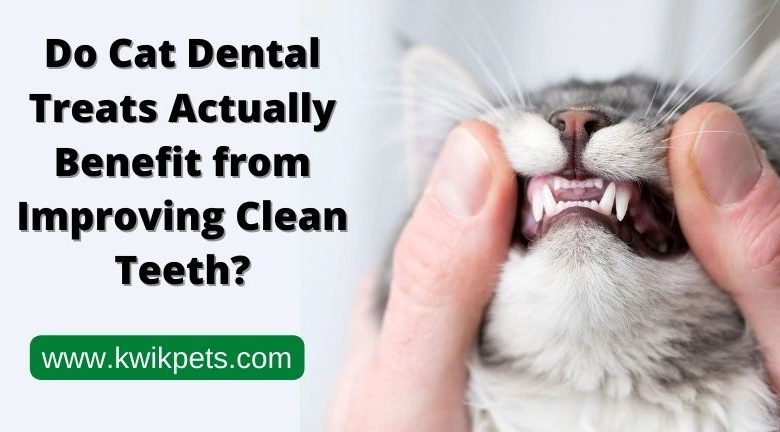 Cat Dental Treats