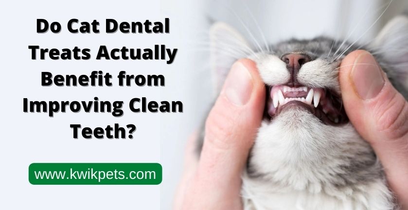 Cat Dental Treats