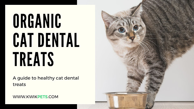 cat dental treats