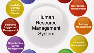 Photo of The Importance of HR Management Software for businesses in the UAE