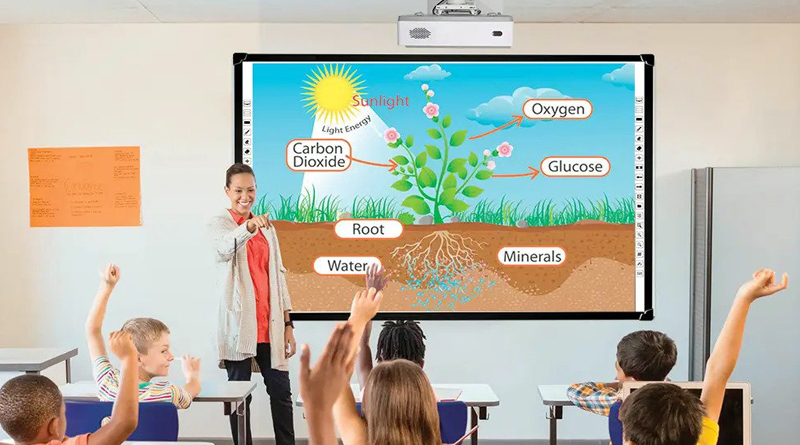 Interactive Whiteboard