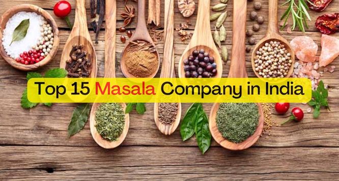 Top 15 Masala Company in India