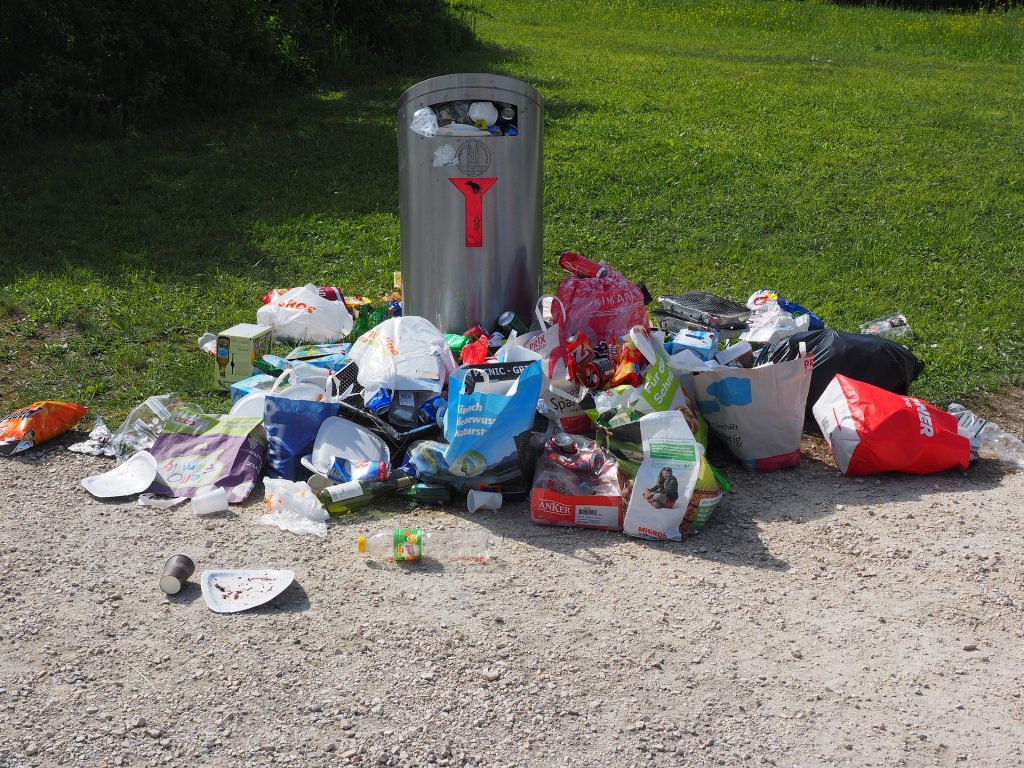 Trash Removal WA