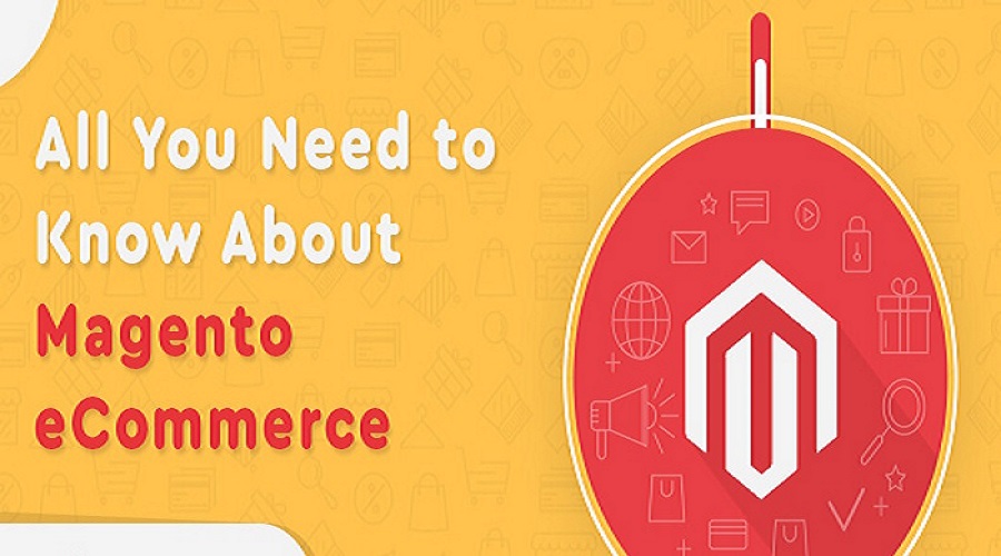magento development company