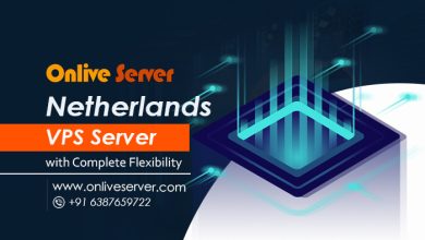 Photo of Get the Most Reliable & Best Netherlands VPS Server by Onlive Server