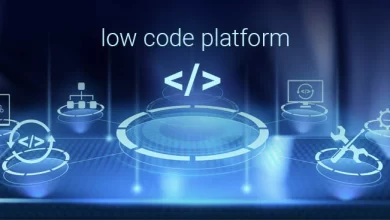 Photo of Low-code application development platform designed for businesses, ISVS, and banks!