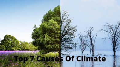 Photo of Top 7 Causes Of Climate Change | Daily Nature Facts