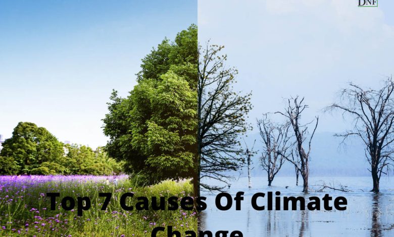 Top 7 Causes Of Climate Change | Daily Nature Facts