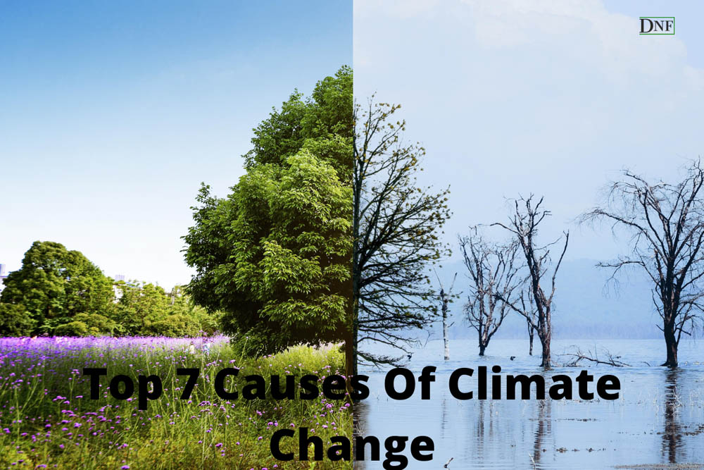 Top 7 Causes Of Climate Change | Daily Nature Facts