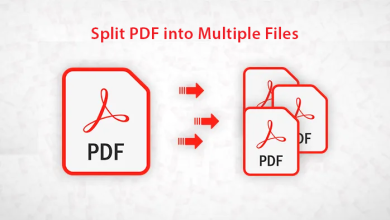 Photo of Top 5 Ways to Split Large PDF Into Multiple Files for Win and Mac