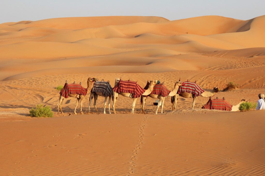 Dubai Desert Safari