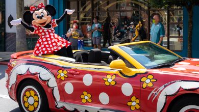 Photo of TUXEDO vs. Minnie Vans: Which Orlando Airport Car Service Fits Your Style?