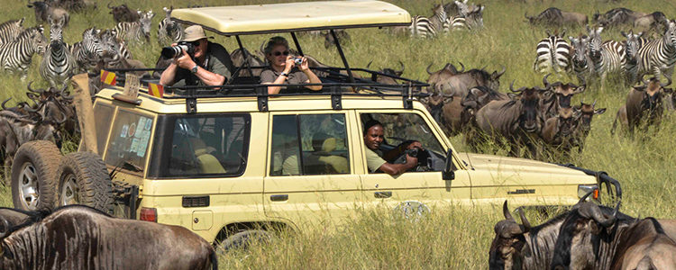 Tanzania Safari