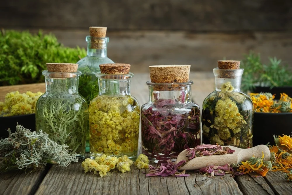 Medicinal Plants